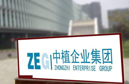 中植系暴雷启示录 底层资产的真相远比“虚幻承诺”更重要